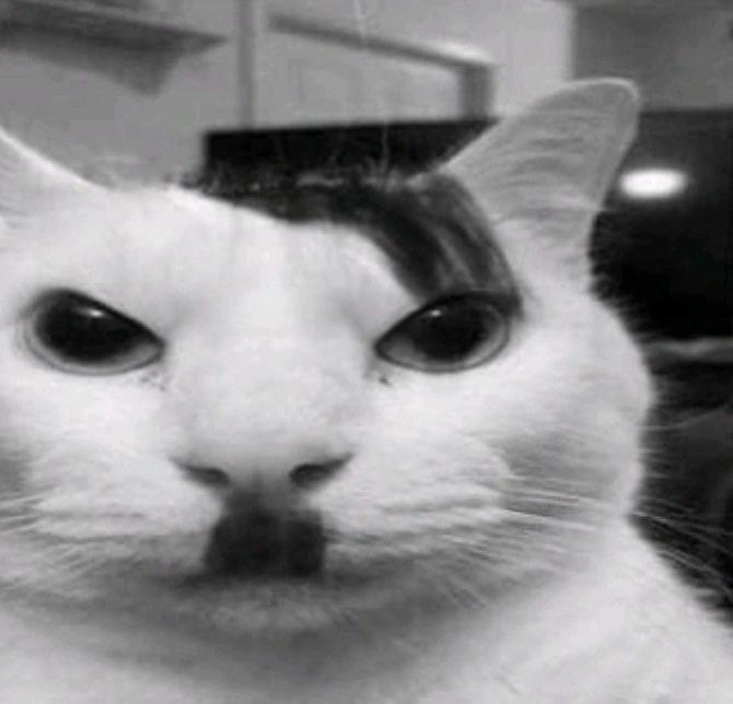 1752793240240.png