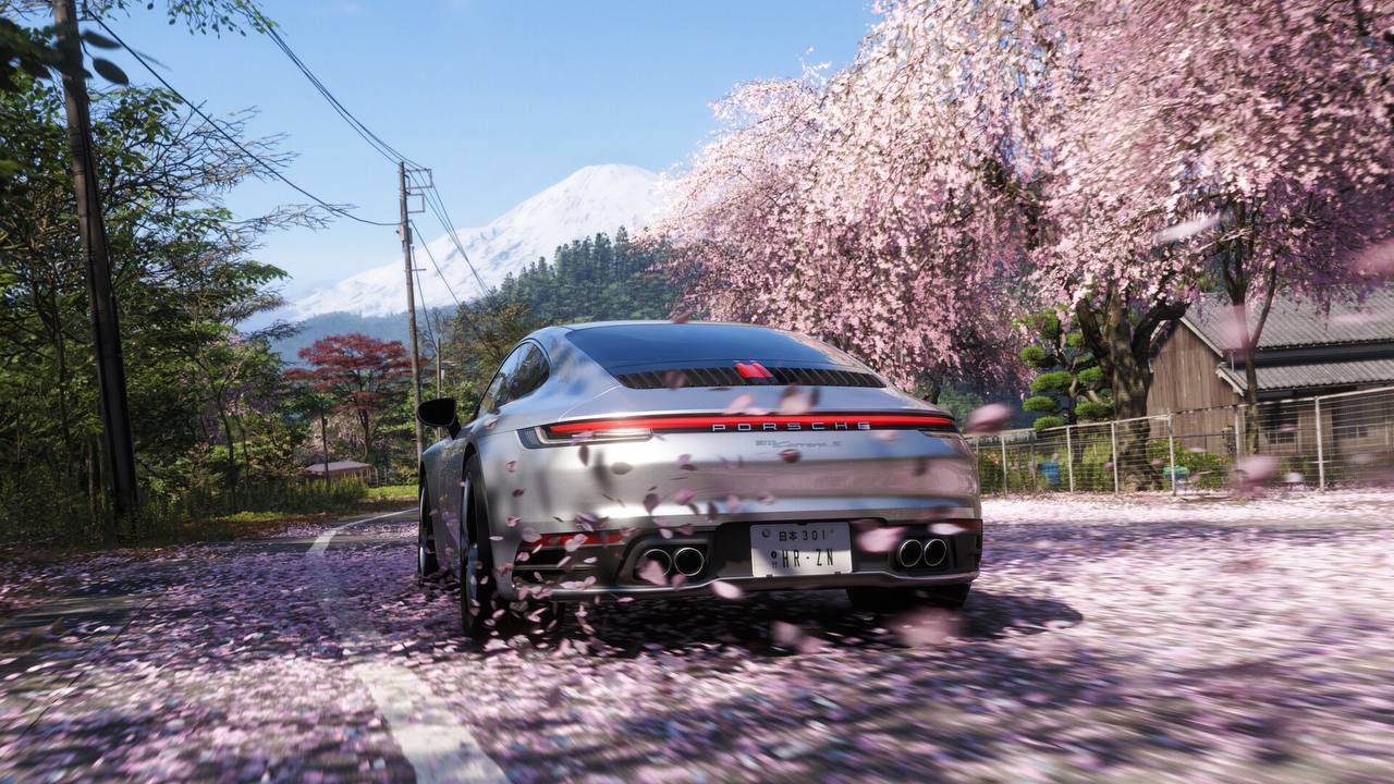 43543.jpg