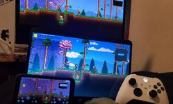 tg_media_1788256974577.jpg